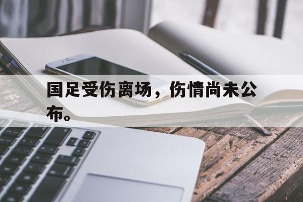 爱游戏在线官网-国足受伤离场，伤情尚未公布。后缀