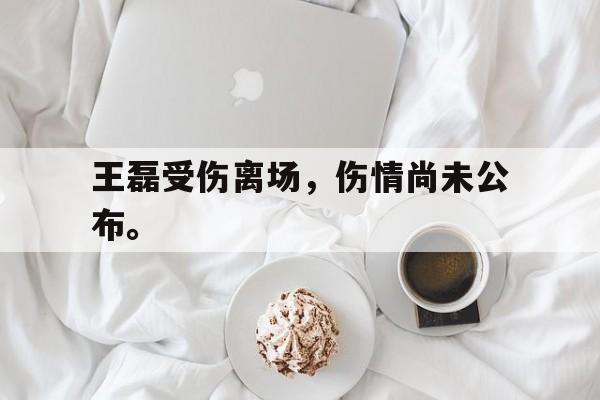 爱游戏在线官网-王磊受伤离场，伤情尚未公布。后缀