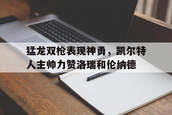爱游戏在线网页版-猛龙双枪表现神勇，凯尔特人主帅力赞洛瑞和伦纳德后缀